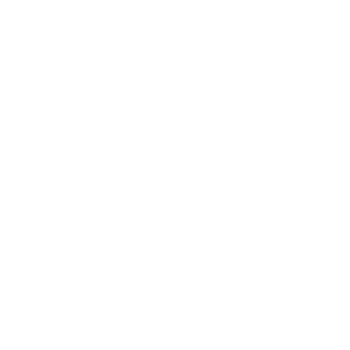 30 Years of Expertise